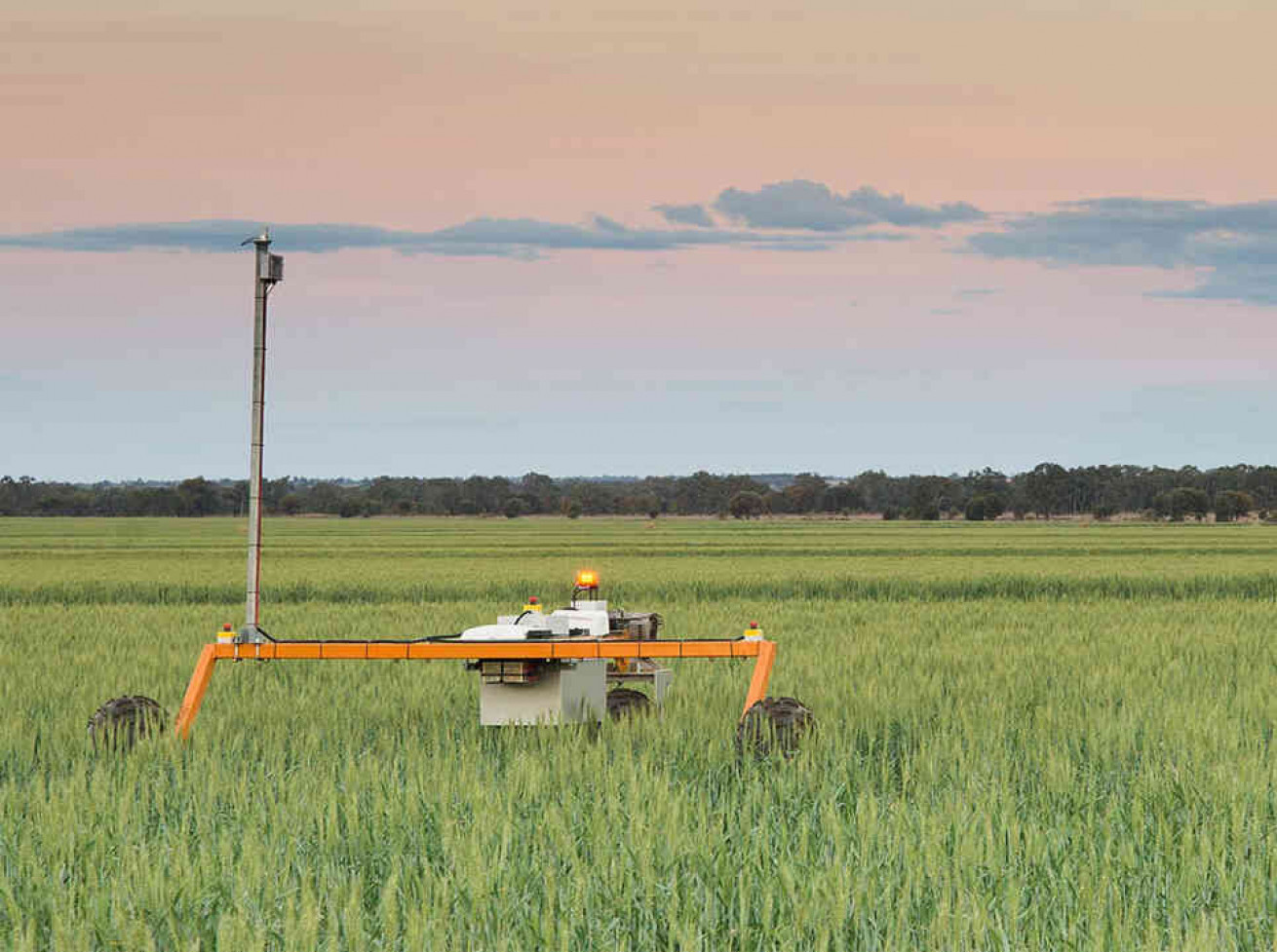 Потенціал роботехнологій - ifarming.com.ua 