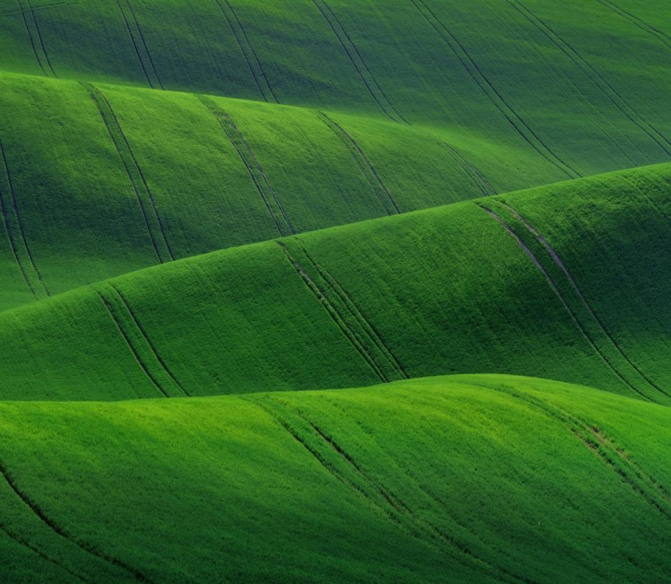 Глобальна продовольча безпека залежить від Agtech 