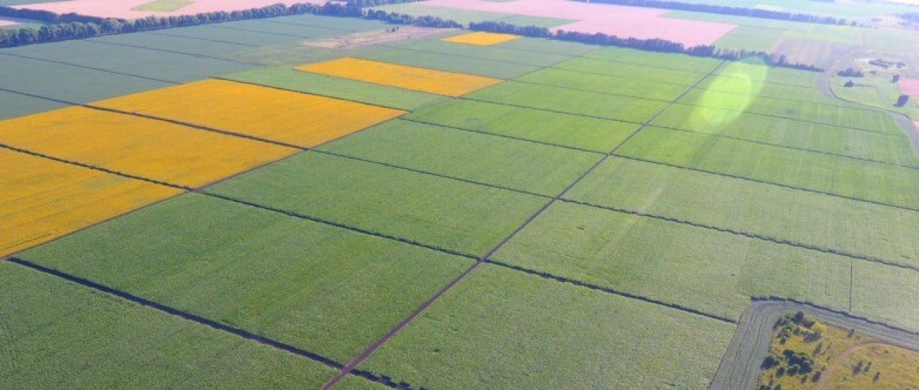  Фото дослідних ділянок одного з кластерів