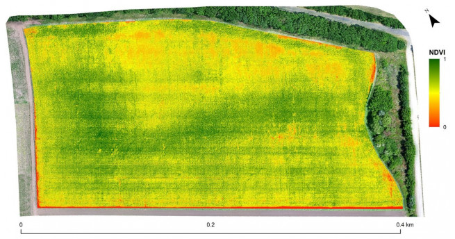 За даними аерознімання на основі NIR фото створена карта NDVI