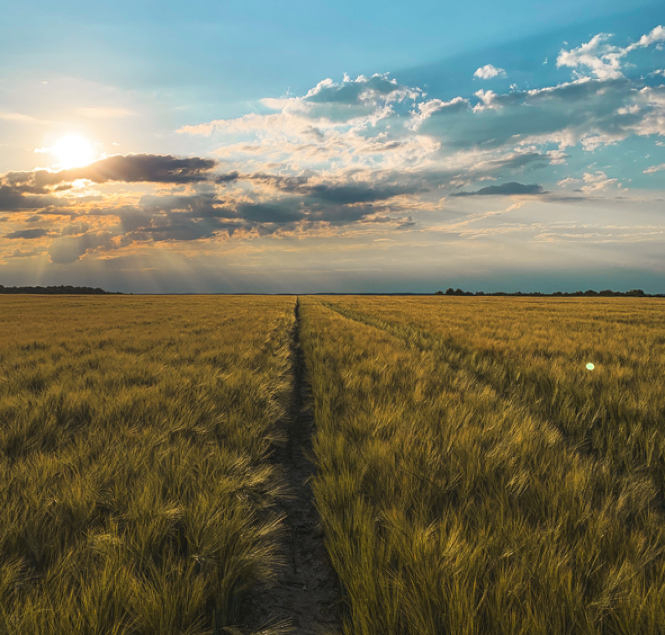Точний шлях до мети - ifarming.ua 